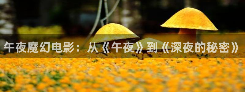 好看影院：午夜魔幻电影：从《午夜》到《深夜的秘密》