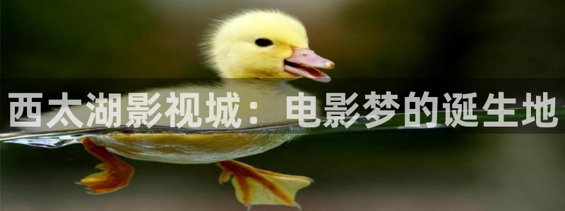 好看影院：西太湖影视城：电影梦的诞生地