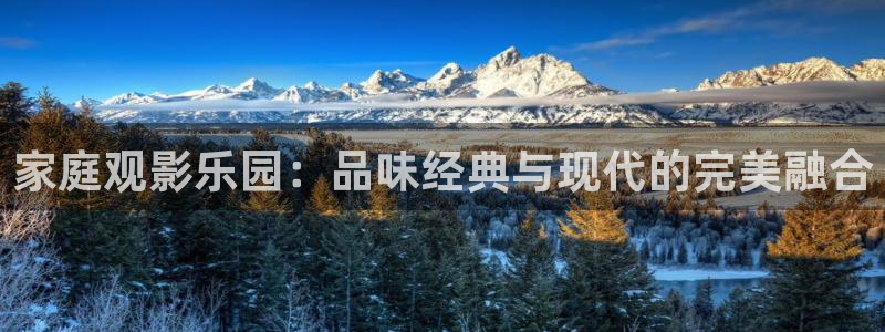 好看影院在线观看：家庭观影乐园：品味经典与现代的完美融合
