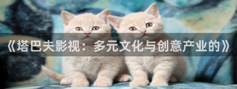 好看影院在线观看电影：《塔巴夫影视：多元文化与创意产业的》