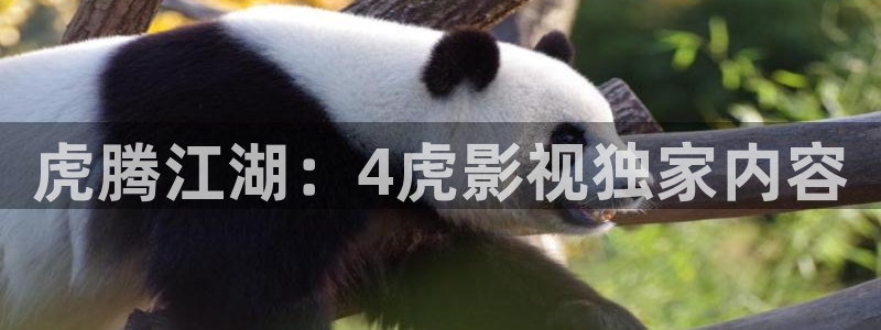 好看影院：虎腾江湖：4虎影视独家内容