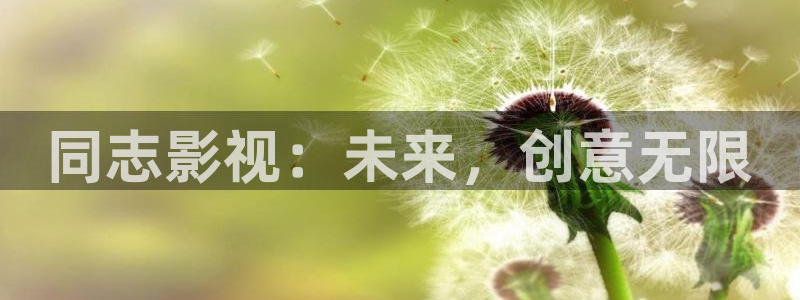 四虎好看影院：同志影视：未来，创意无限