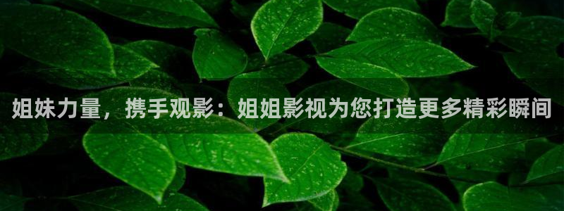 四虎好看影院：姐妹力量，携手观影：姐姐影视为您打造更多精彩瞬间
